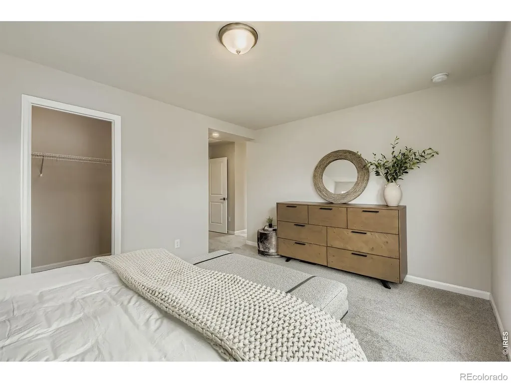 909 Nettle Lane Fort Collins CO 80524