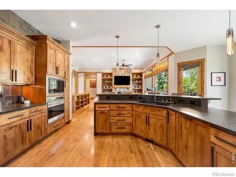 5415 Moonlight Way Parker CO 80134