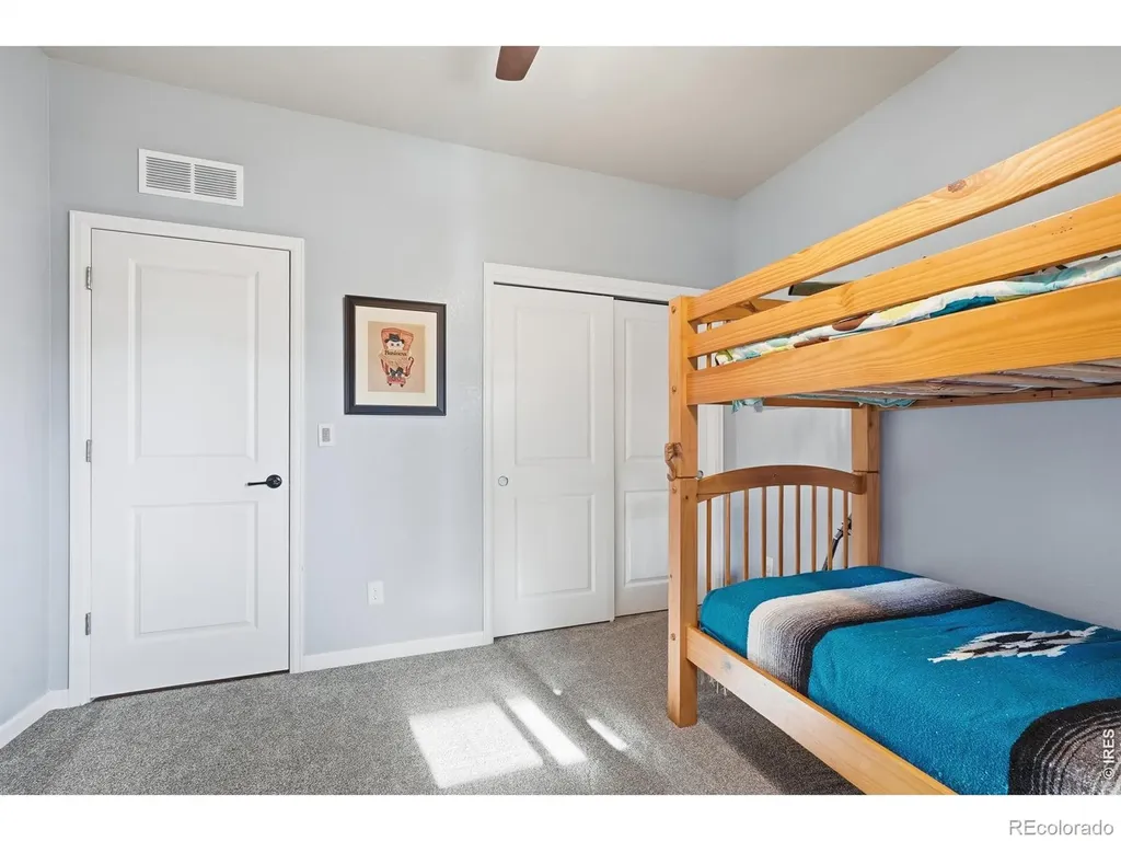 1341 S Dawn Drive Milliken CO 80543