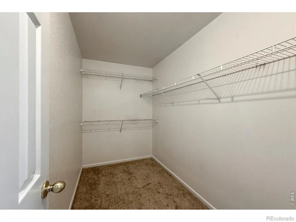 3513 Gunbarrel Court Evans CO 80620