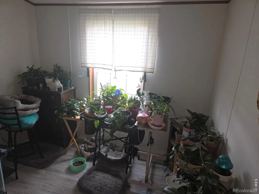 22852 Washington Avenue Orchard CO 80649