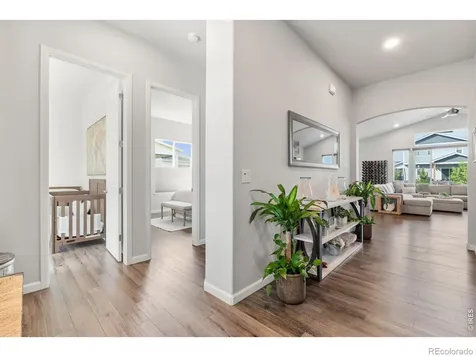 586 Greenspire Drive Windsor CO 80550
