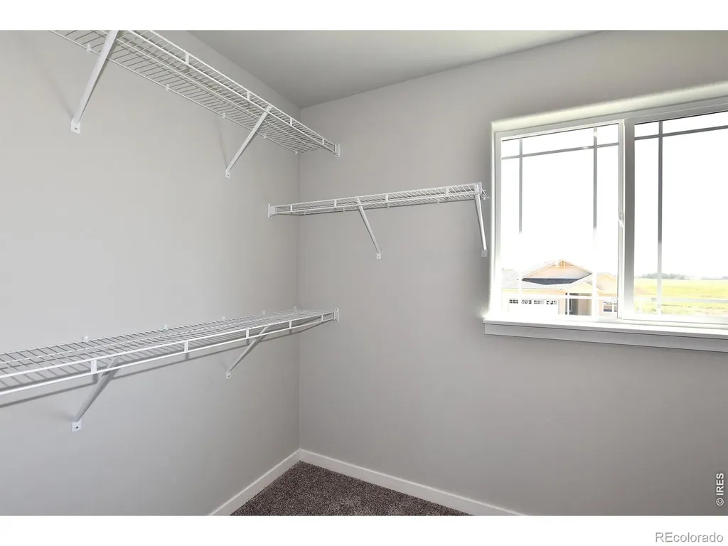 1102 Crown Sparrow Street Johnstown CO 80534