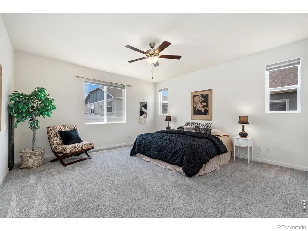 1141 E Ibex Drive Severance CO 80550