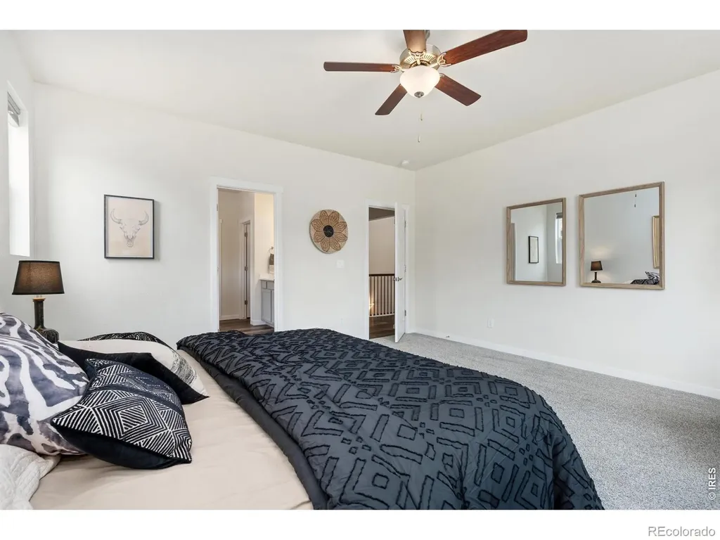 1141 E Ibex Drive Severance CO 80550