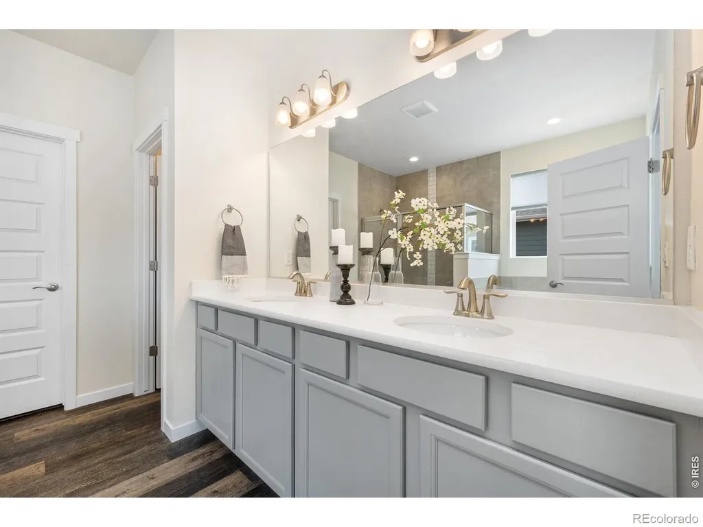 1141 E Ibex Drive Severance CO 80550