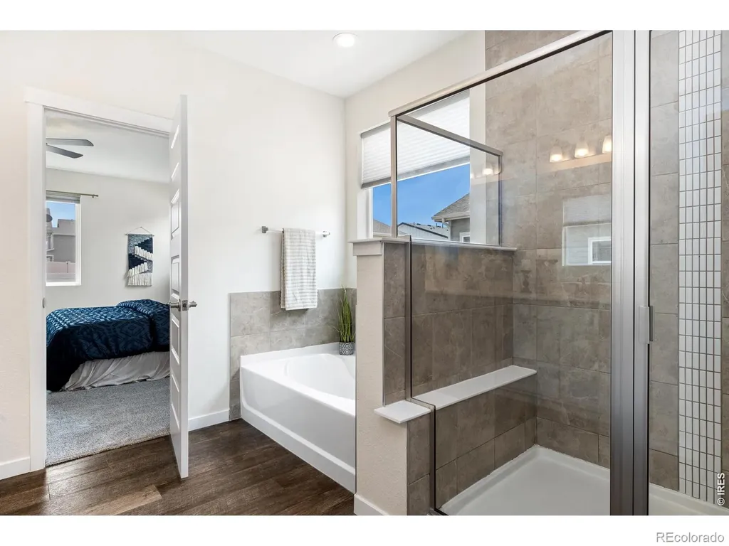 1141 E Ibex Drive Severance CO 80550