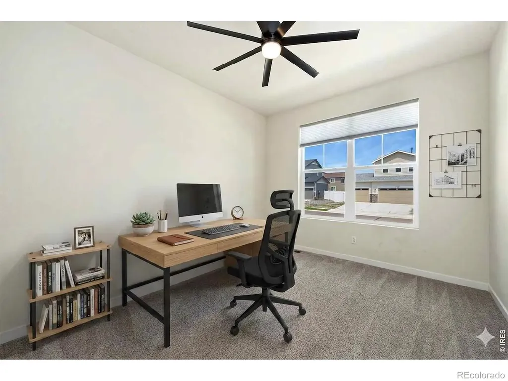 1141 E Ibex Drive Severance CO 80550