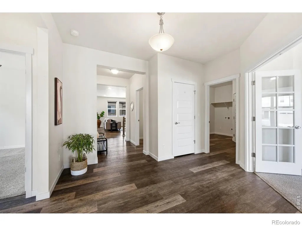 1141 E Ibex Drive Severance CO 80550