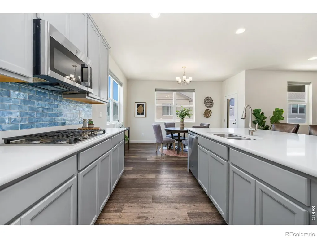 1141 E Ibex Drive Severance CO 80550
