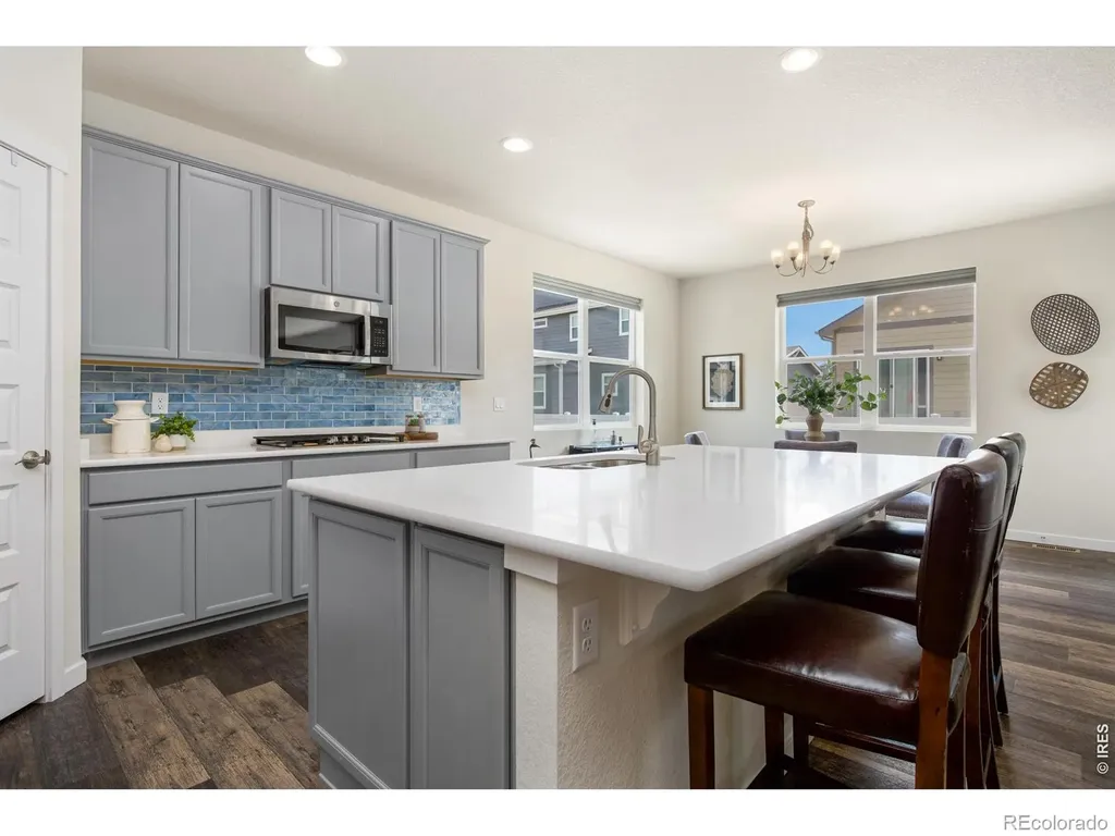 1141 E Ibex Drive Severance CO 80550