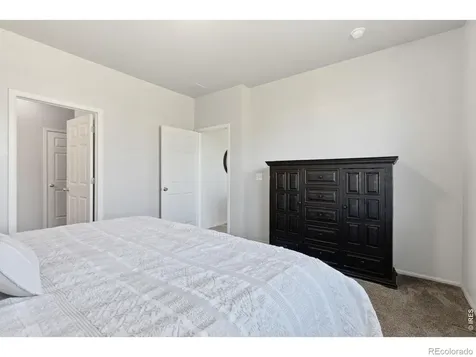 902 Pierson Court Windsor CO 80550