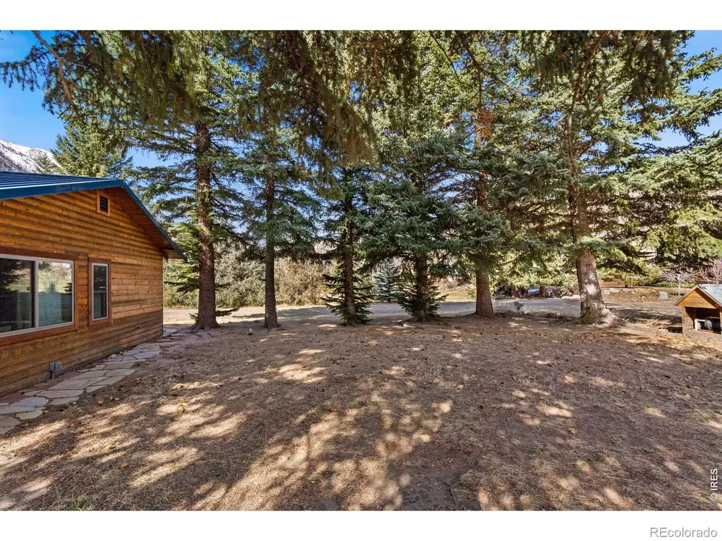 225 Meadow Lane Bellvue CO 80512