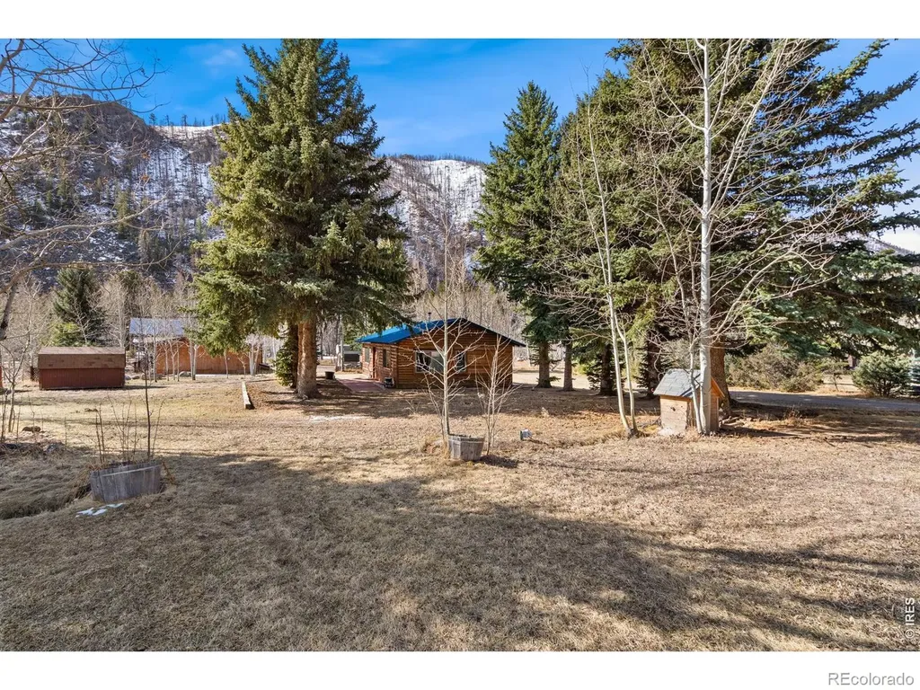 225 Meadow Lane Bellvue CO 80512
