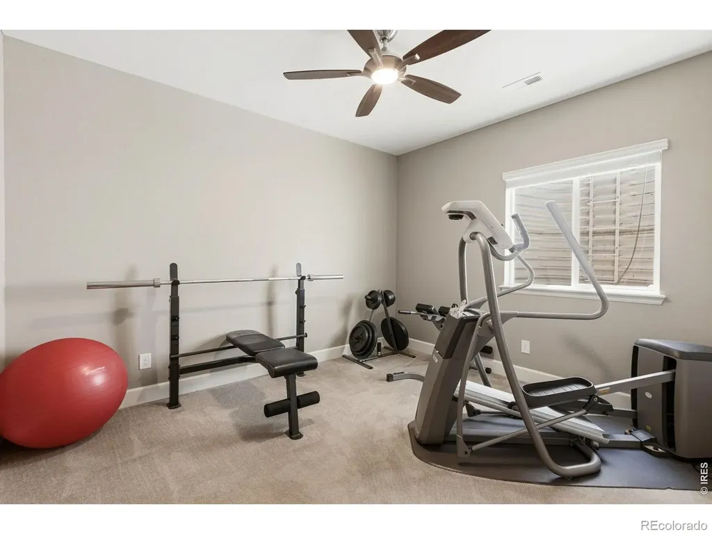 6151 Washakie Court Timnath CO 80547