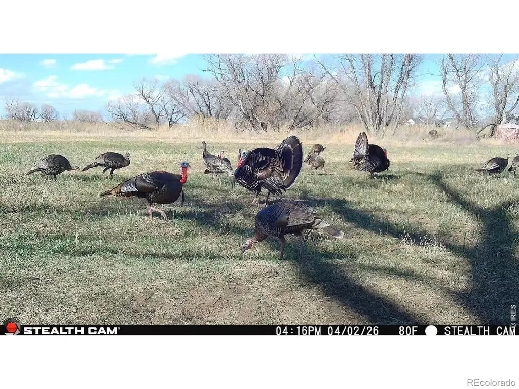 27446 County Road 388 Kersey CO 80644