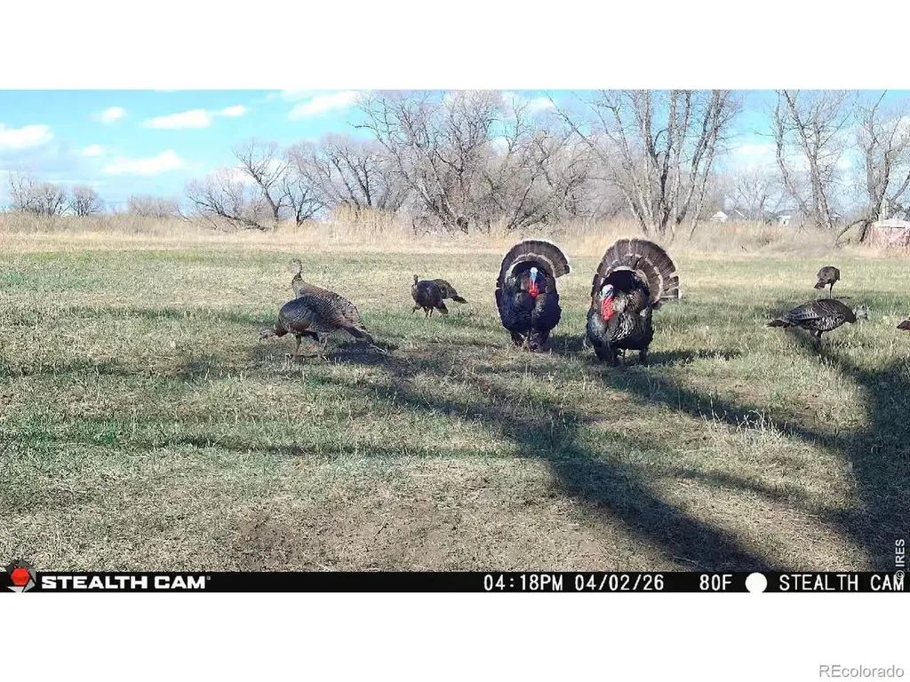 27446 County Road 388 Kersey CO 80644