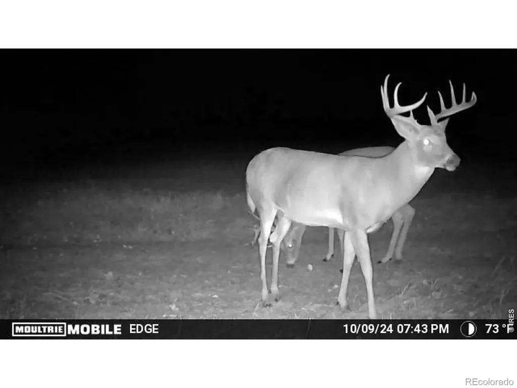 27446 County Road 388 Kersey CO 80644