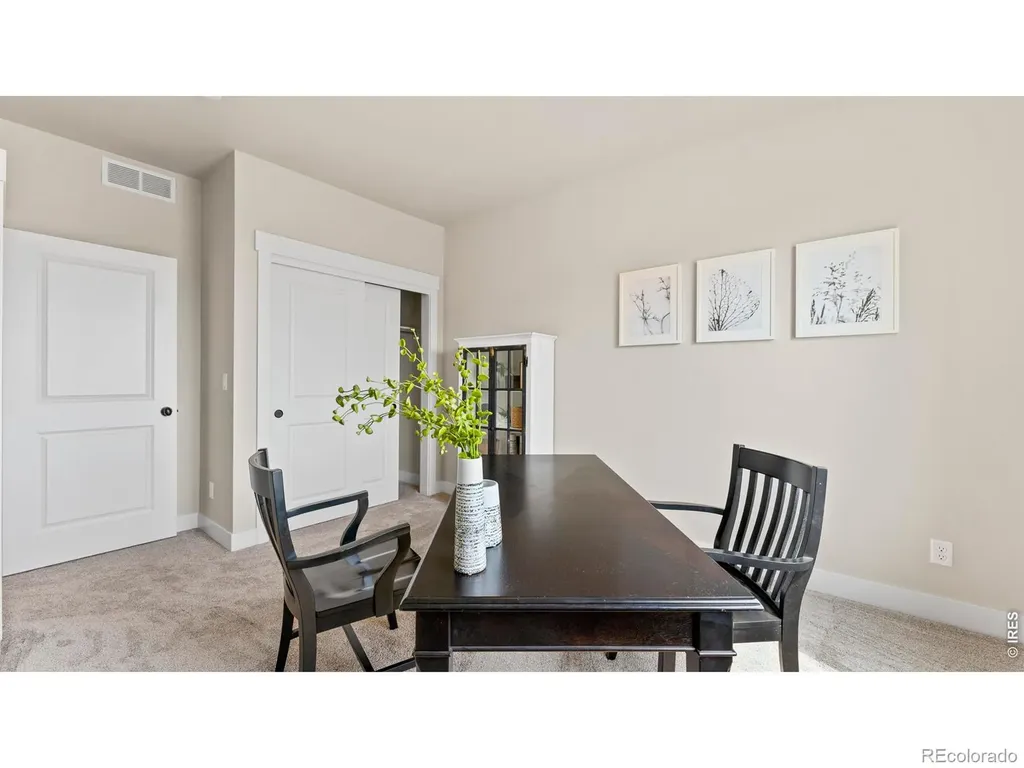 6226 Vernazza Way Windsor CO 80550