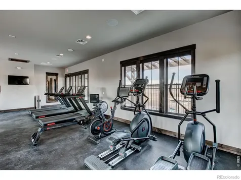 6226 Vernazza Way Windsor CO 80550