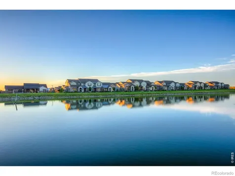 6226 Vernazza Way Windsor CO 80550