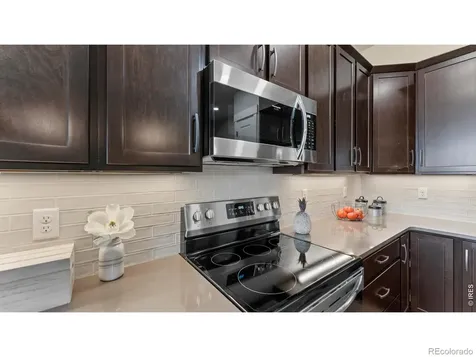 6226 Vernazza Way Windsor CO 80550
