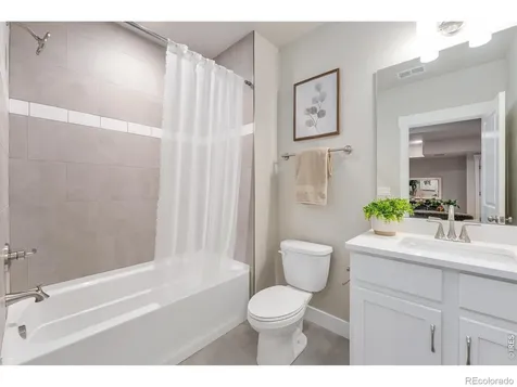 6226 Vernazza Way Windsor CO 80550