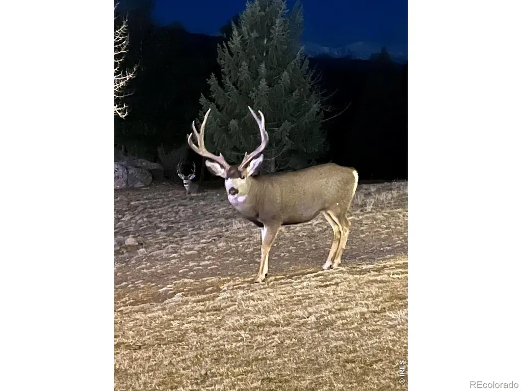 6917 Timbers Drive Evergreen CO 80439