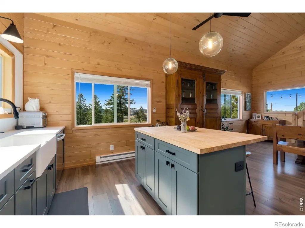 127 Mount Sniktau Court Livermore CO 80536