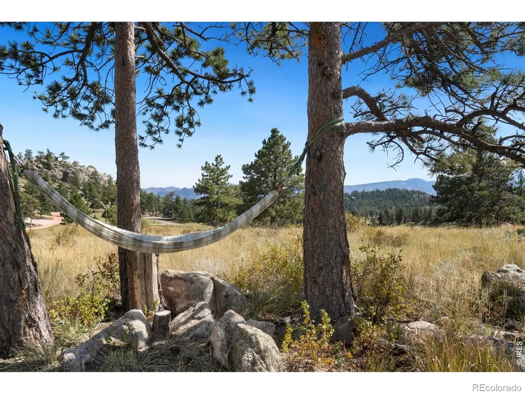 127 Mount Sniktau Court Livermore CO 80536