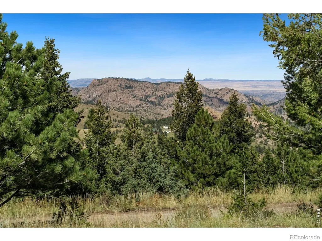 127 Mount Sniktau Court Livermore CO 80536