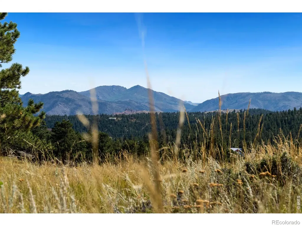 127 Mount Sniktau Court Livermore CO 80536