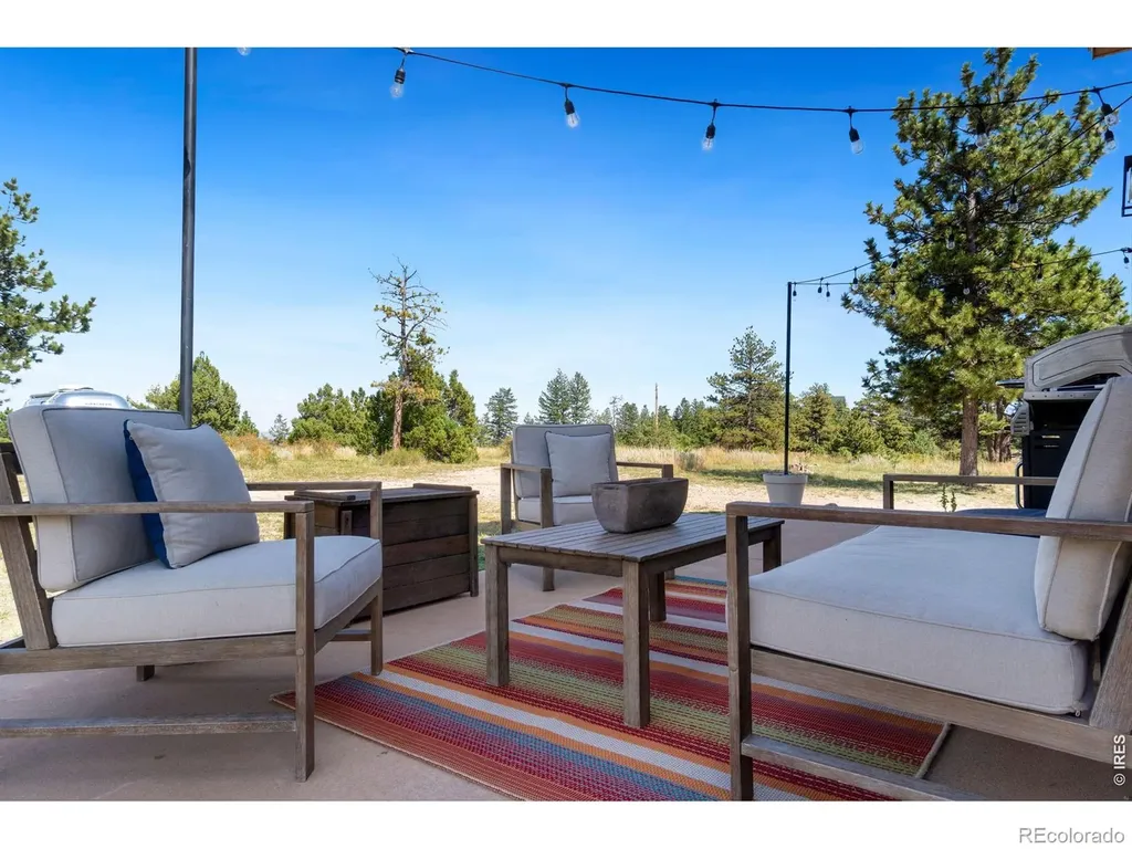 127 Mount Sniktau Court Livermore CO 80536