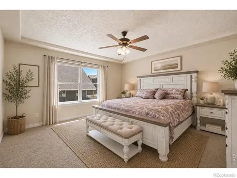 428 Wind River Drive Windsor CO 80550