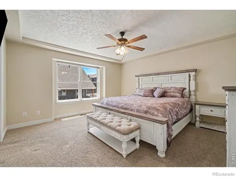 428 Wind River Drive Windsor CO 80550