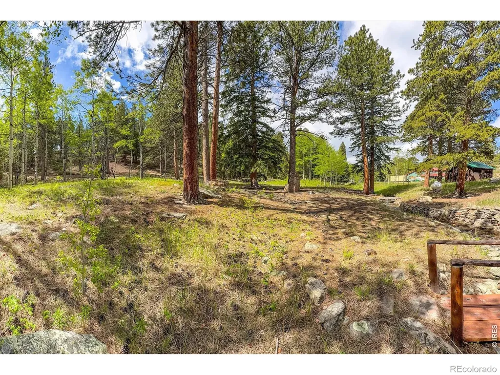412 Highway 7 Business Allenspark CO 80510
