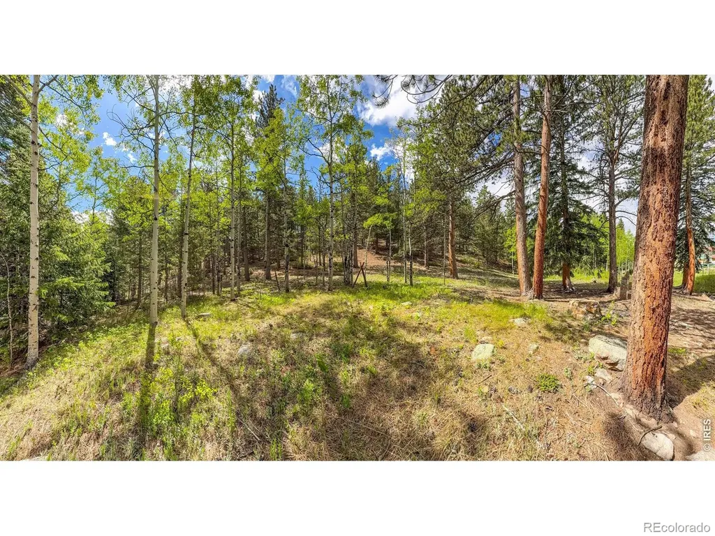 412 Highway 7 Business Allenspark CO 80510
