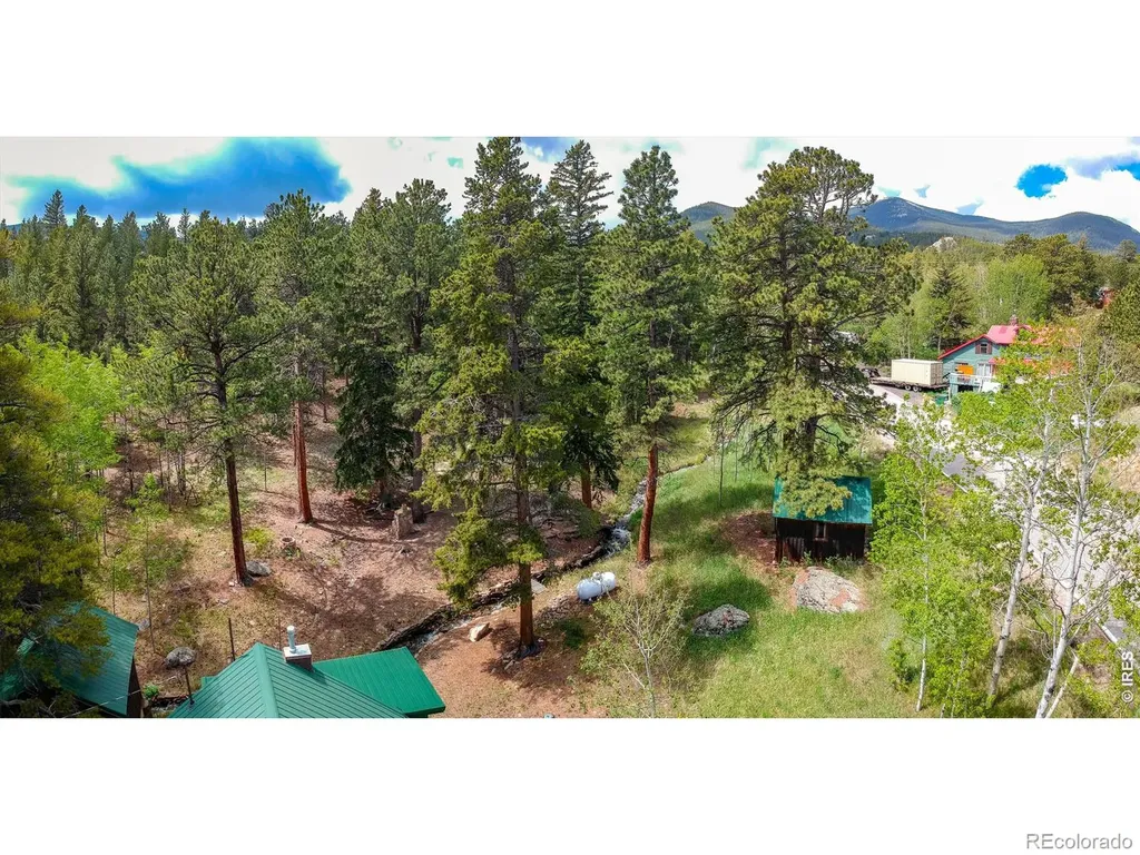 412 Highway 7 Business Allenspark CO 80510