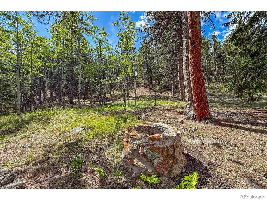 416 Highway 7 Business Allenspark CO 80510