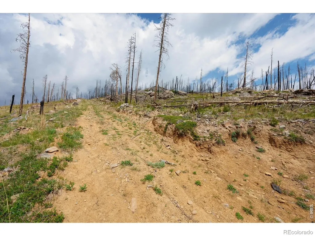 30 Sheep Horn Court Bellvue CO 80512