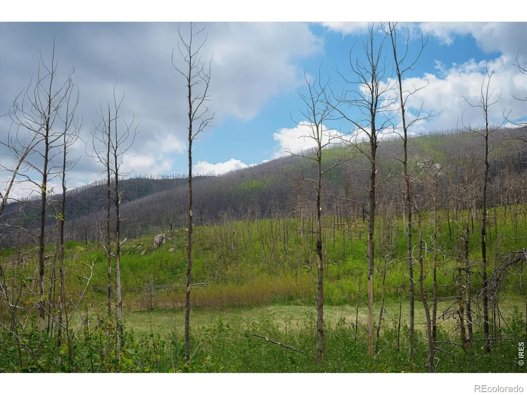 30 Sheep Horn Court Bellvue CO 80512