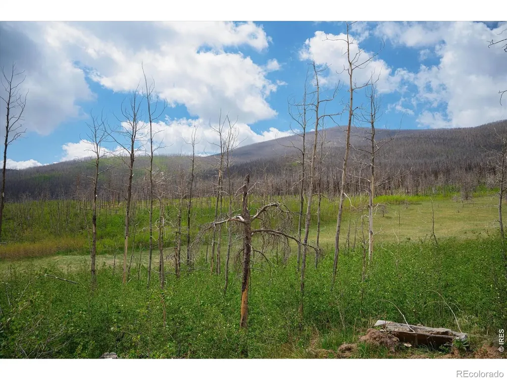 30 Sheep Horn Court Bellvue CO 80512