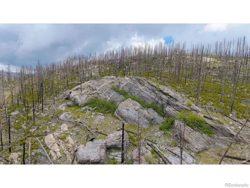 30 Sheep Horn Court Bellvue CO 80512