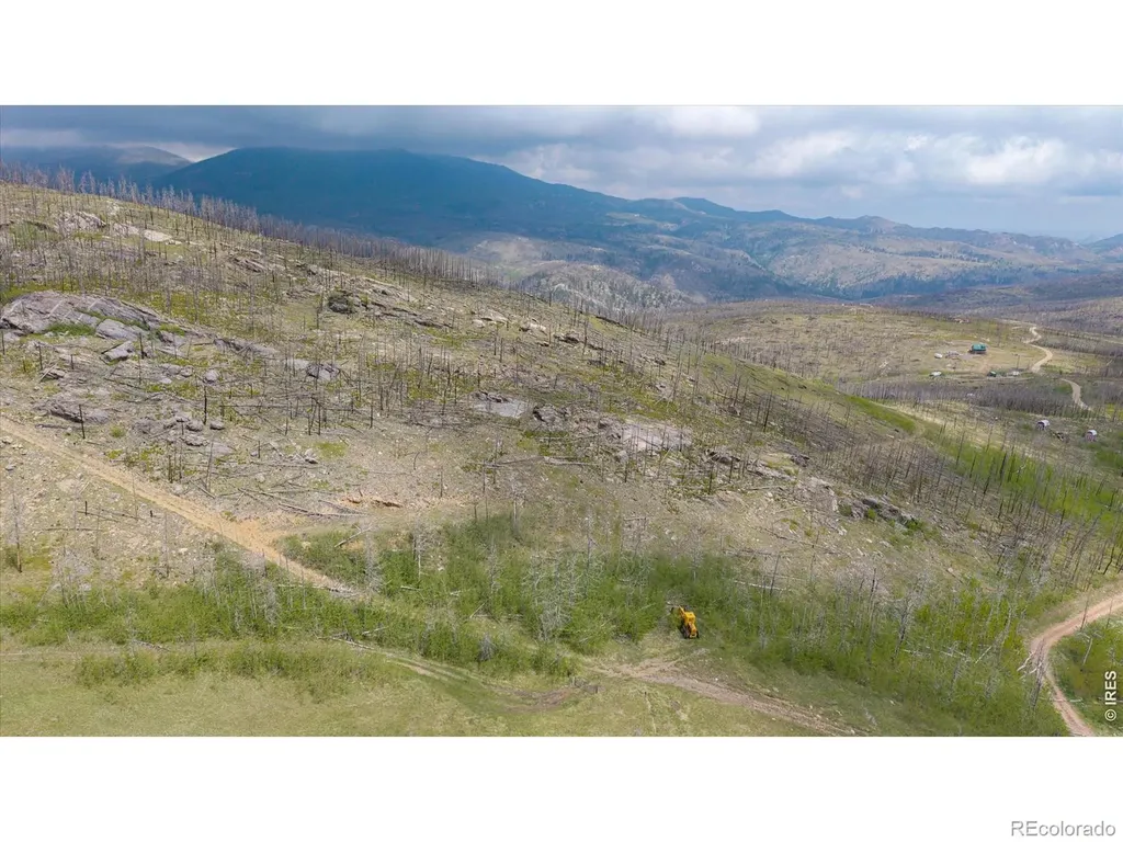 30 Sheep Horn Court Bellvue CO 80512