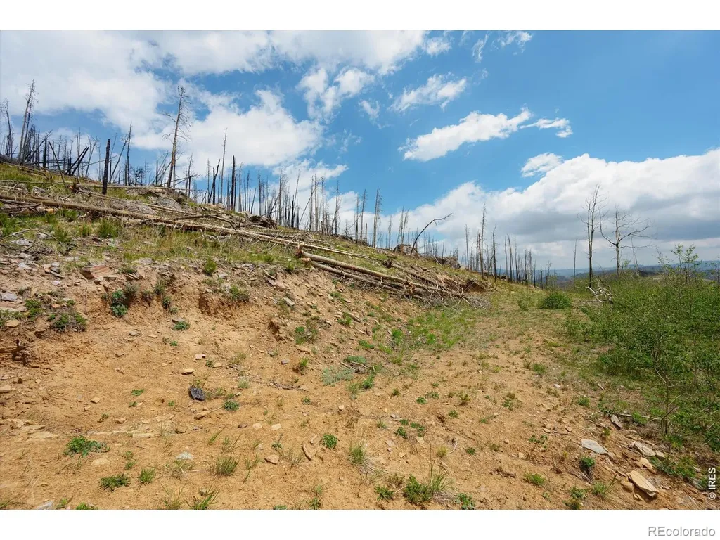 30 Sheep Horn Court Bellvue CO 80512