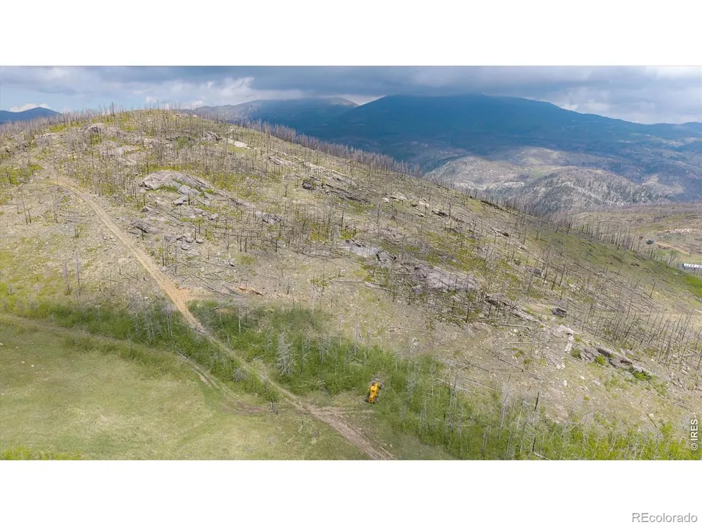 30 Sheep Horn Court Bellvue CO 80512