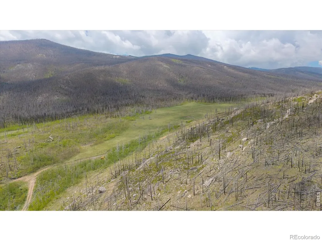 30 Sheep Horn Court Bellvue CO 80512