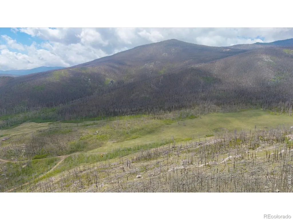 30 Sheep Horn Court Bellvue CO 80512
