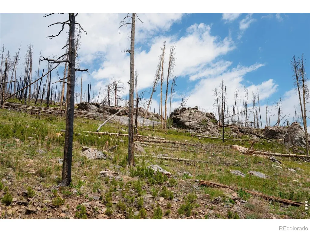 30 Sheep Horn Court Bellvue CO 80512