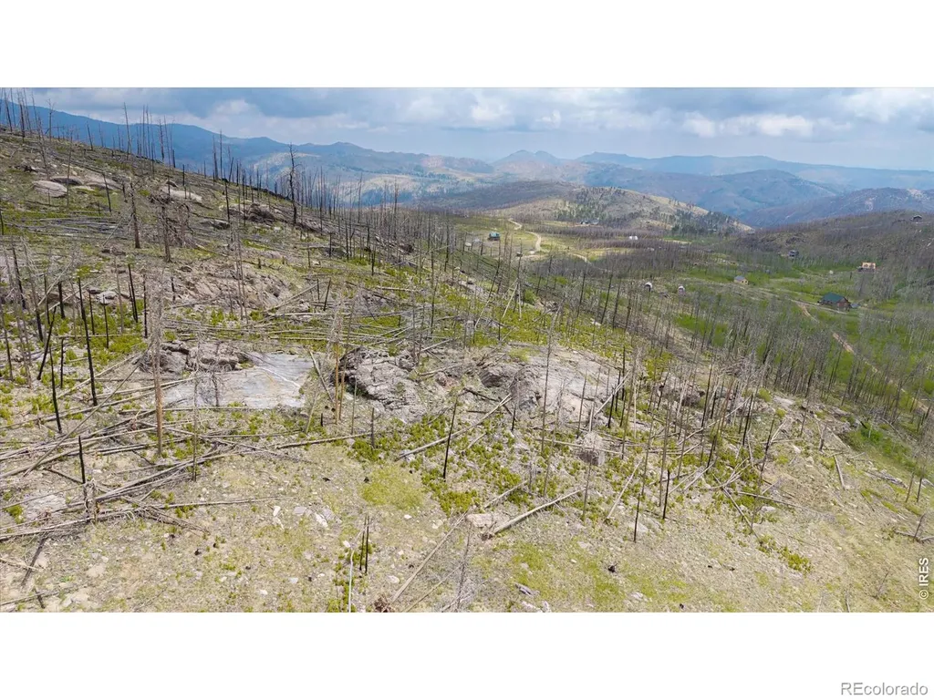 30 Sheep Horn Court Bellvue CO 80512